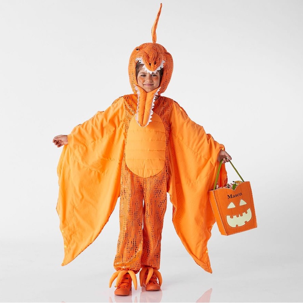Pottery Barn Orange Pterodactyl Costume for Kids Size 4/6